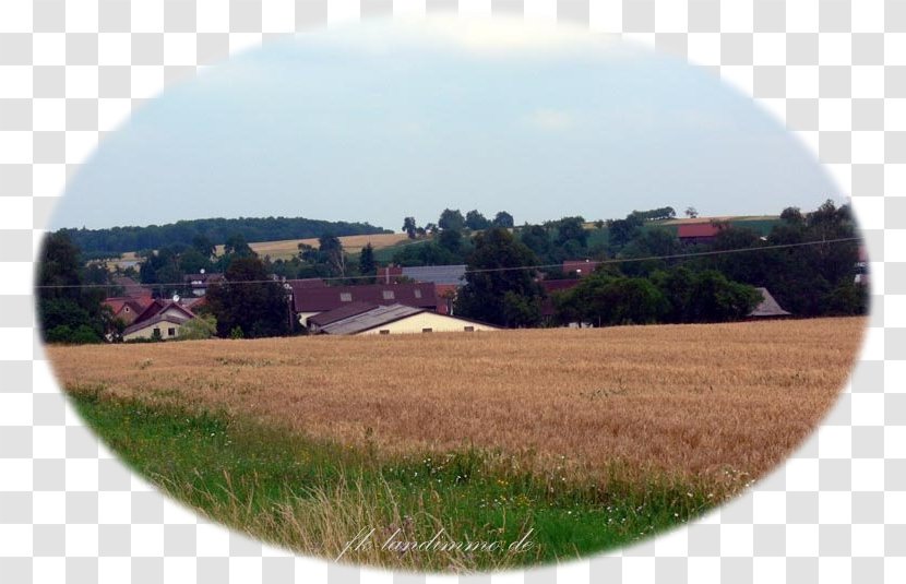 Schwäbisch Hall Anja Friederike Kämmerer Manz Historisches Stadthaus Farm - Remsmurrkreis Transparent PNG