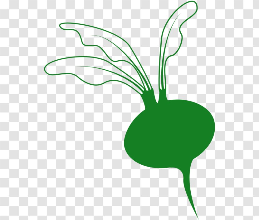 Clip Art Leaf Black & White - Green - M Line Plant StemOrris Root Clipart Transparent PNG