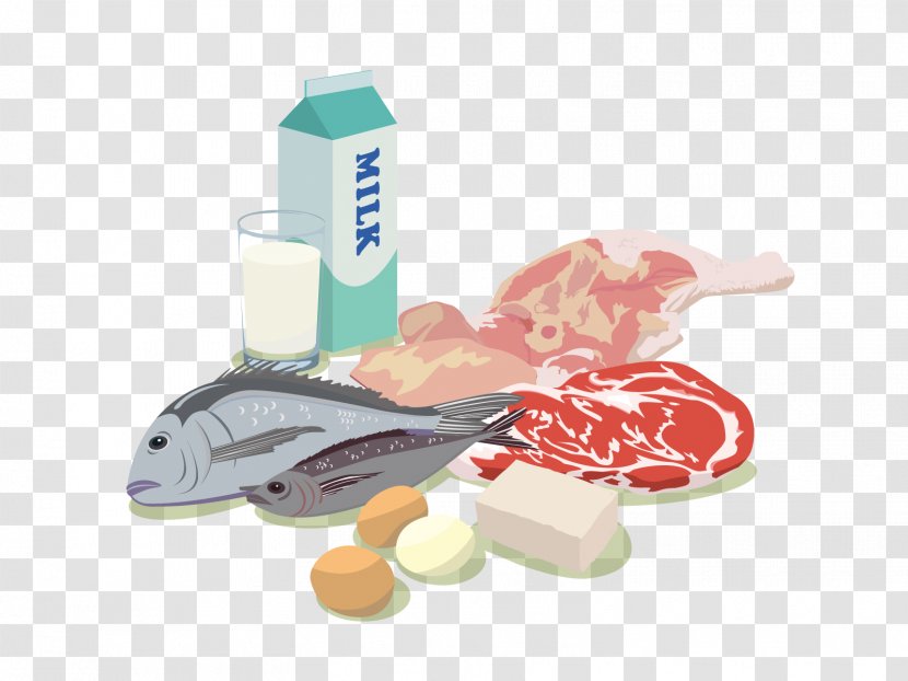 Illustration Meal Food Image Pregnancy - Protein Transparent PNG