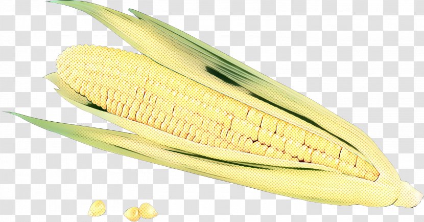 Vegetable Cartoon - Corn On The Cob - Plant Transparent PNG