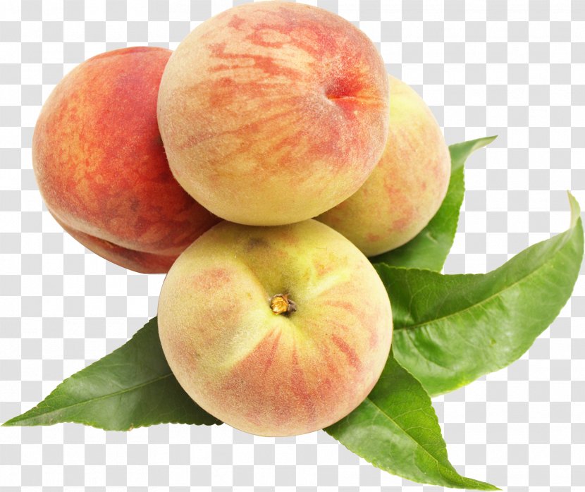 Peach Auglis Food - Sweetness Transparent PNG