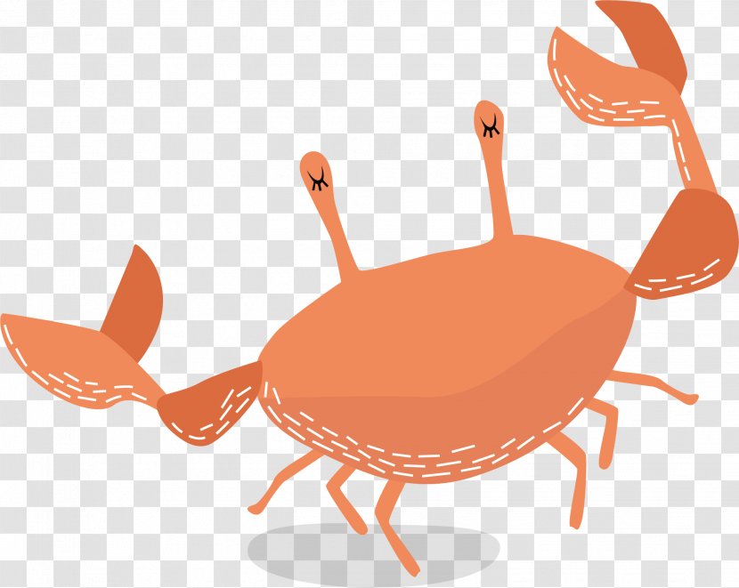 Dungeness Crab Illustration - Cover Art - Red Vector Transparent PNG