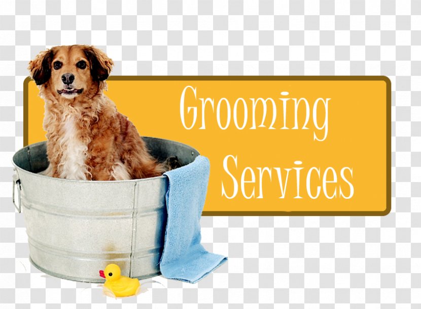 Puppy Partners Naturally Dog Breed Grooming - Like Mammal Transparent PNG