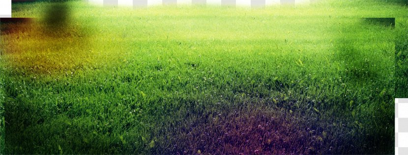 Sunlight Crop Grassland Sky Silencer - Creative Green Grass Transparent PNG