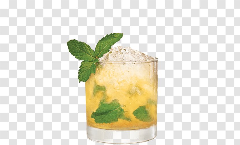 Whiskey Mint Julep Cocktail Mojito Mai Tai - Recipe Transparent PNG