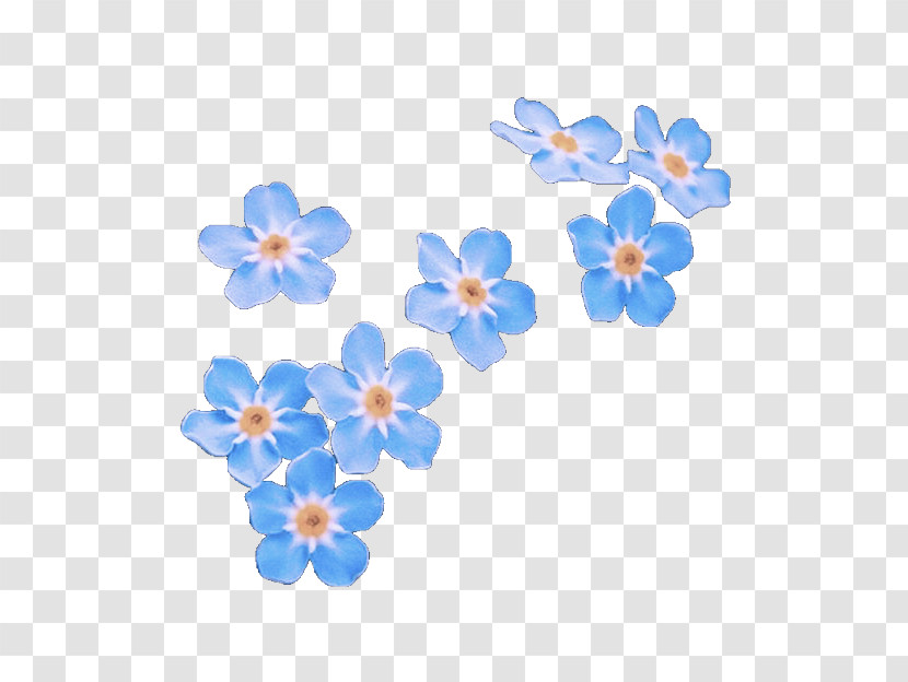 Forget-me-not Blue Flower Petal Plant Transparent PNG