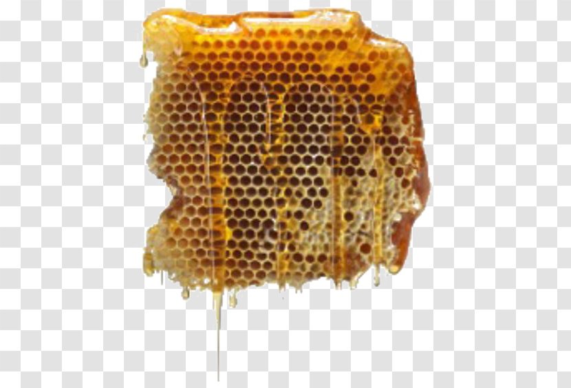 Beehive Honey Beekeeping Apiary - Queen Bee Transparent PNG