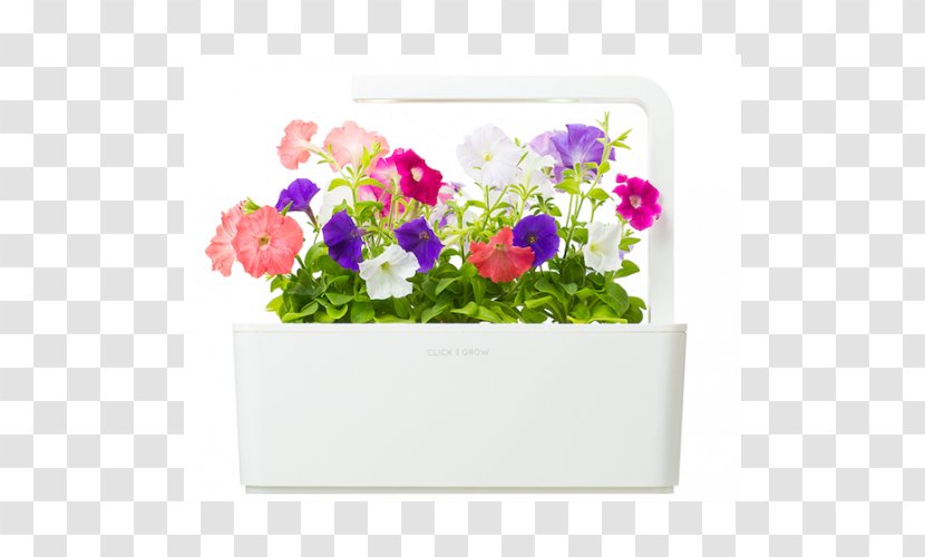 Flowerpot Violet Garden Furniture Crock - Flowering Plant Transparent PNG