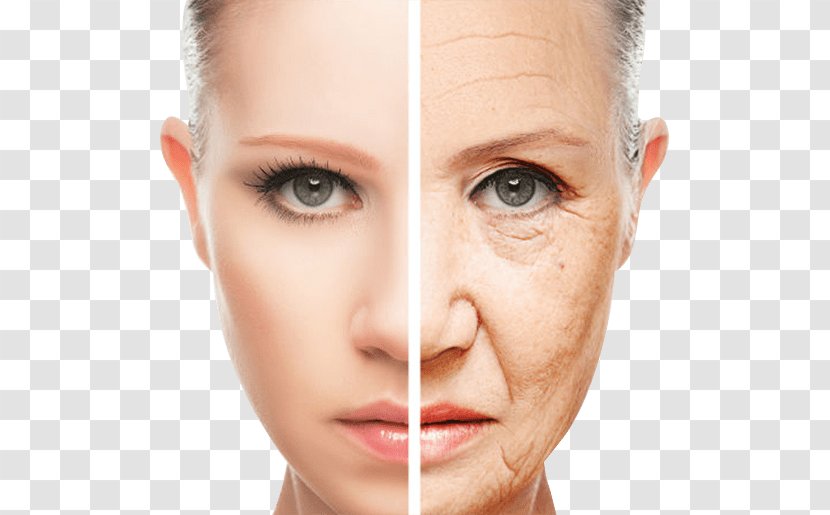 Wrinkle Skin Ageing Cosmetics Anti-aging Cream - Face Transparent PNG