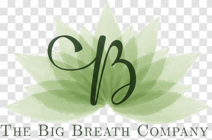 Driving Phobia The Big Breath Company Limited Fear Stress - Leaf - Bad Transparent PNG