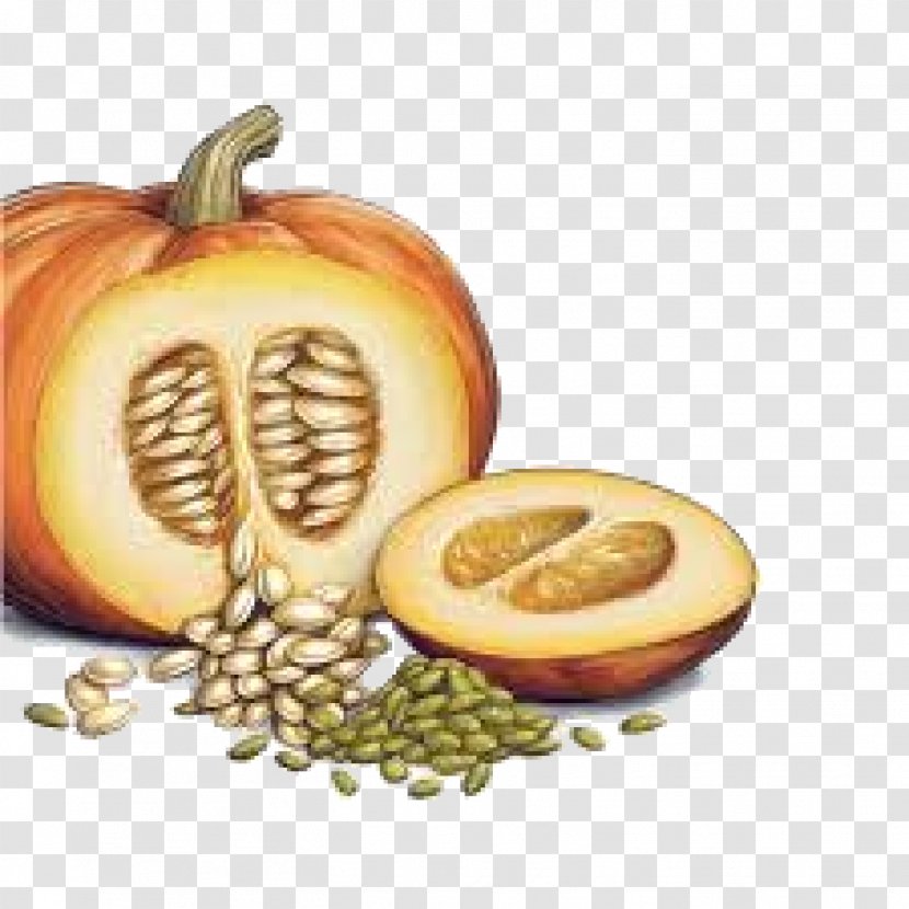 Pumpkin Bread Squash Soup Pie Seed - Heart Transparent PNG