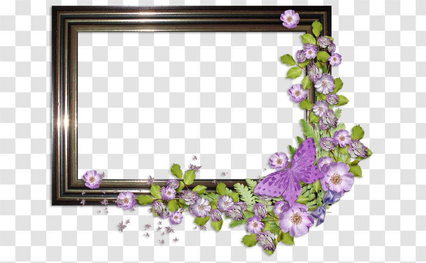 Picture Frames Kahan, Kuhbanan Clip Art - Petal - Chark Transparent PNG