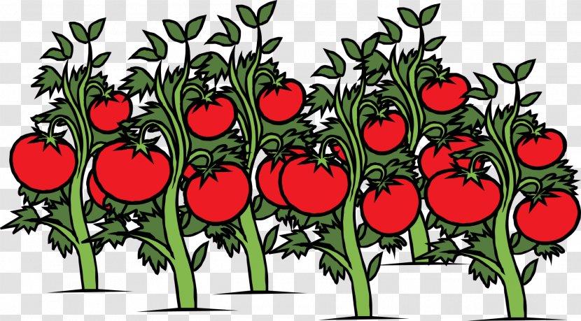 Garden Vegetable Cherry Tomato Clip Art - Food - Bright Red Transparent PNG