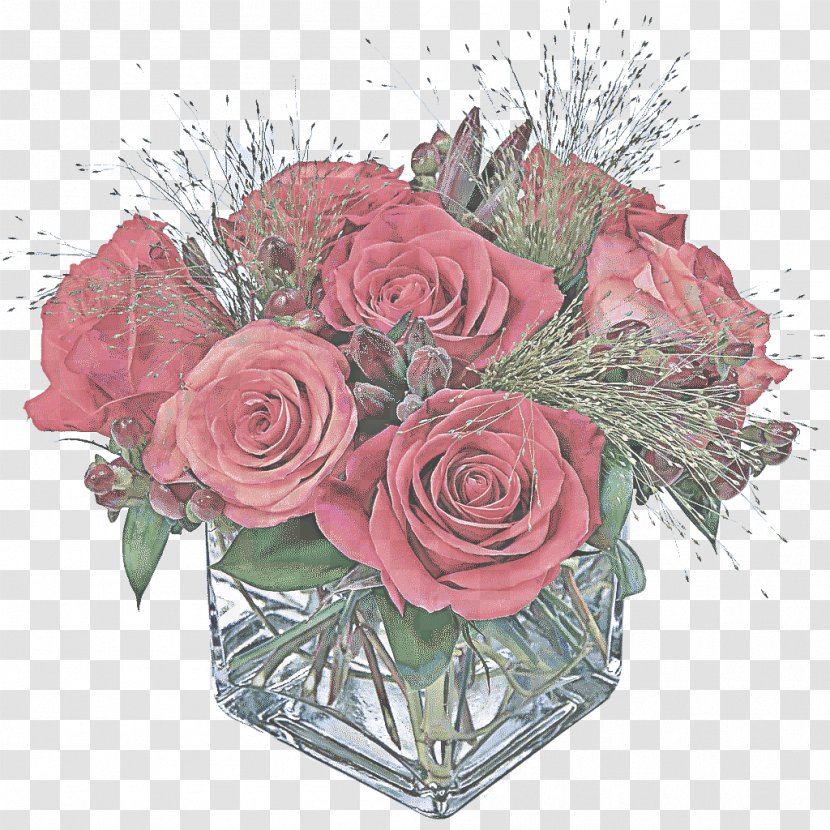 Garden Roses - Plant Rose Family Transparent PNG