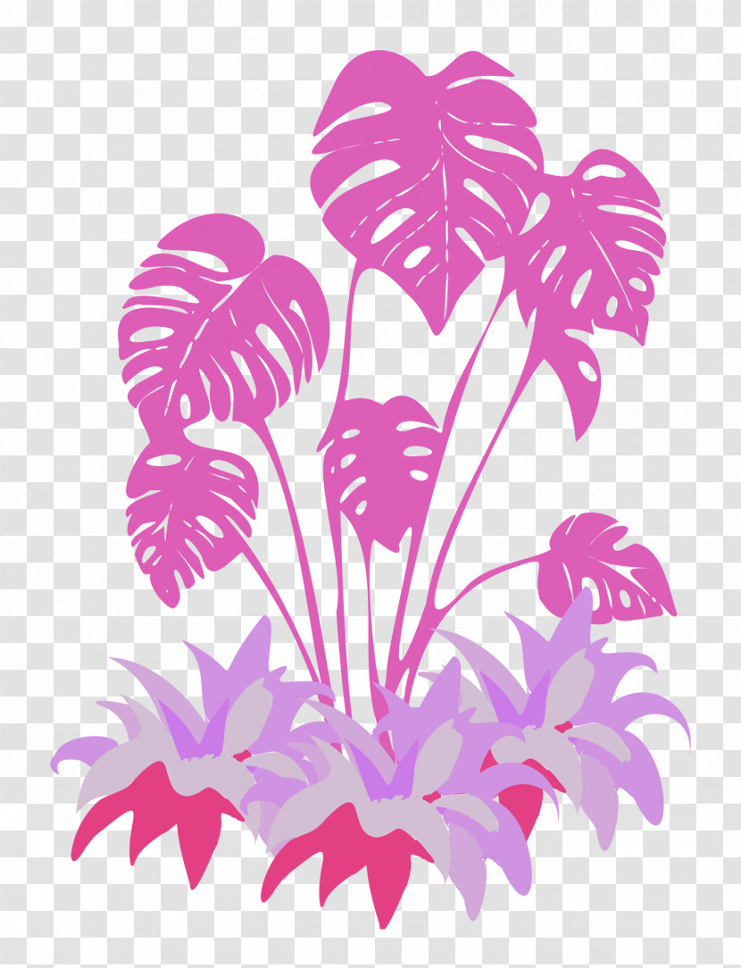 Plant Transparent PNG