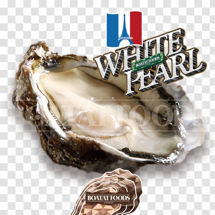 Oyster Clam Jewellery - Seafood Transparent PNG