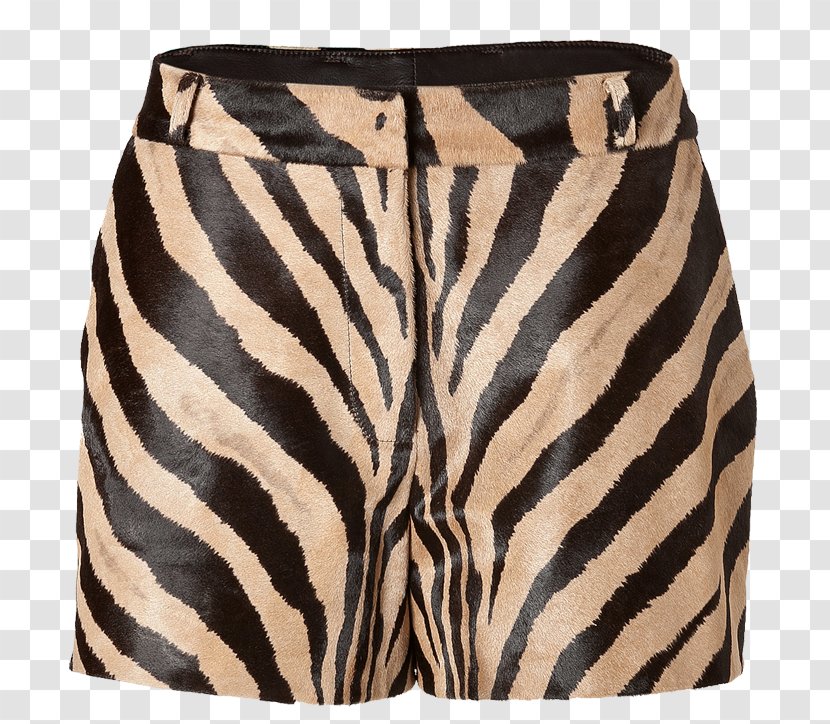 Mammal Shorts - Zebra Print Transparent PNG