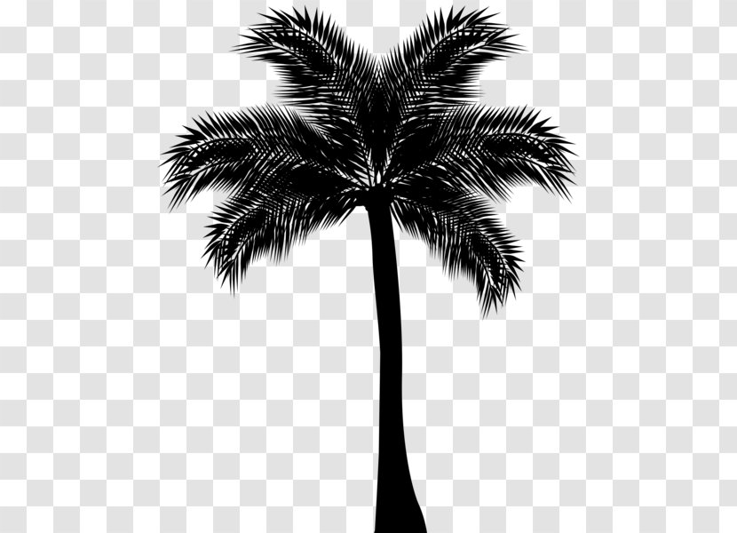 Arecaceae Silhouette Drawing Clip Art - California Palm - Tree Transparent PNG