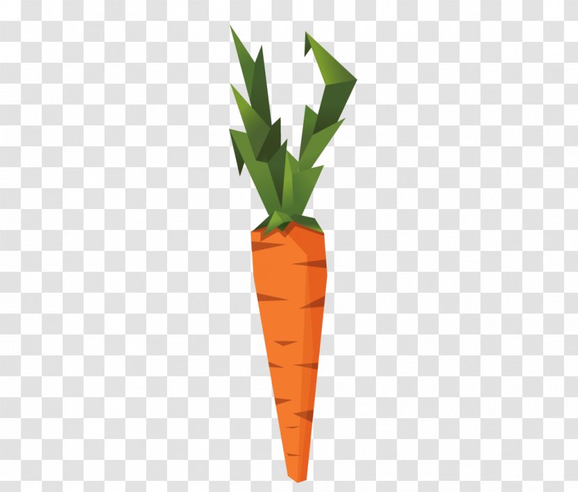 Carrot Vegetable Euclidean Vector Radish - Seed Oil - Creative Transparent PNG