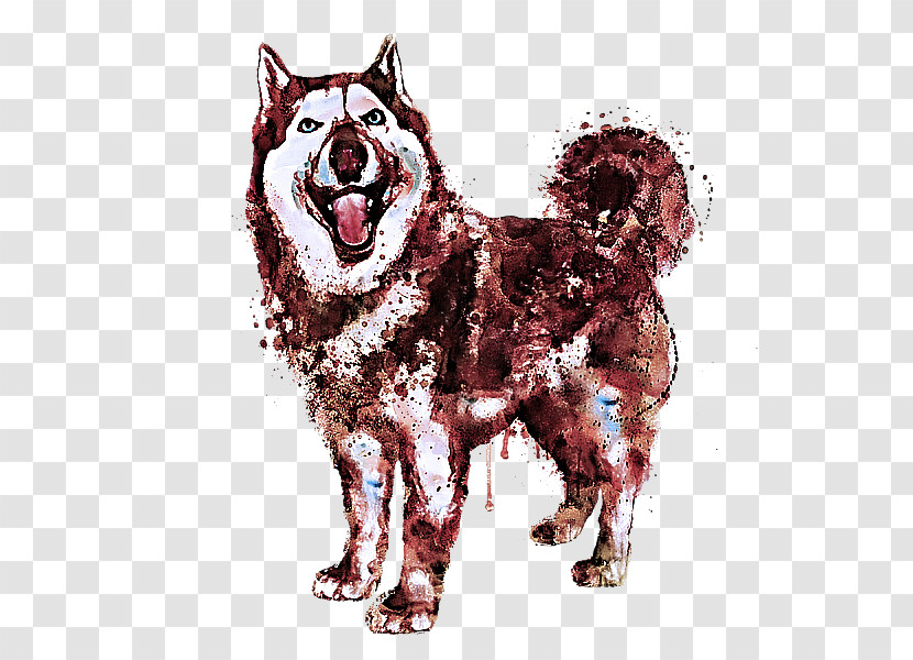 Dog Akita Alaskan Malamute Norwegian Elkhound Black Norwegian Elkhound Transparent PNG