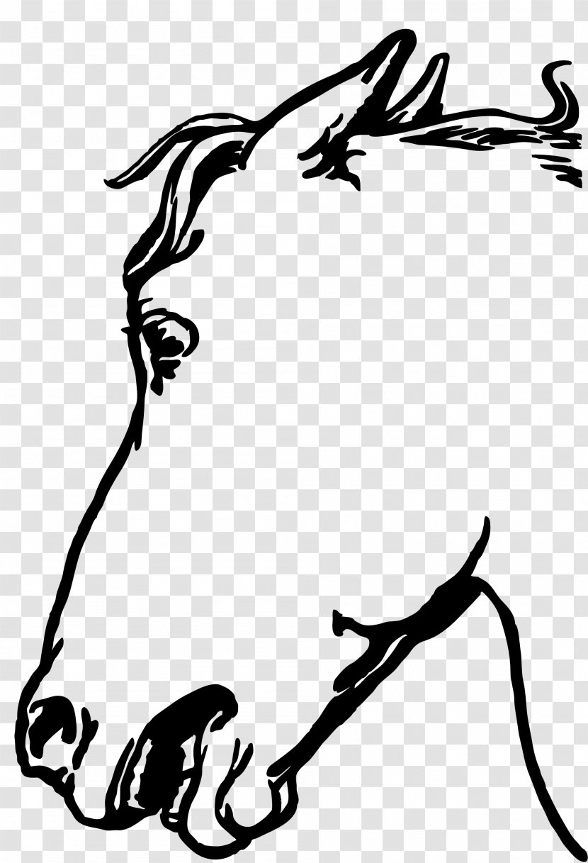 YouTube Horse Borders And Frames Clip Art - Vertebrate - Headline Transparent PNG