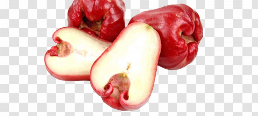 Java Apple Syzygium Jambos Food Fruit - Watercolor - Free To Pull The Wax Material Transparent PNG