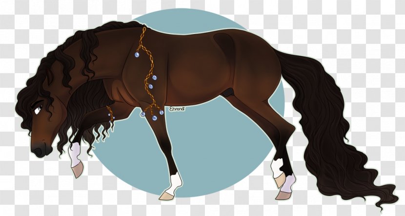Foal Halter Mane Stallion Mare - Pony - Mustang Transparent PNG