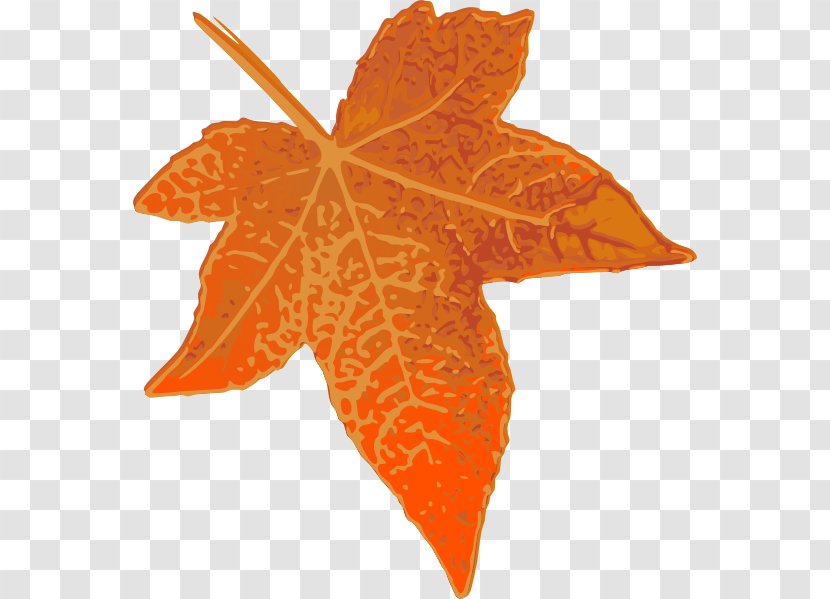 Maple Leaf Orange Autumn Clip Art - Tree Transparent PNG