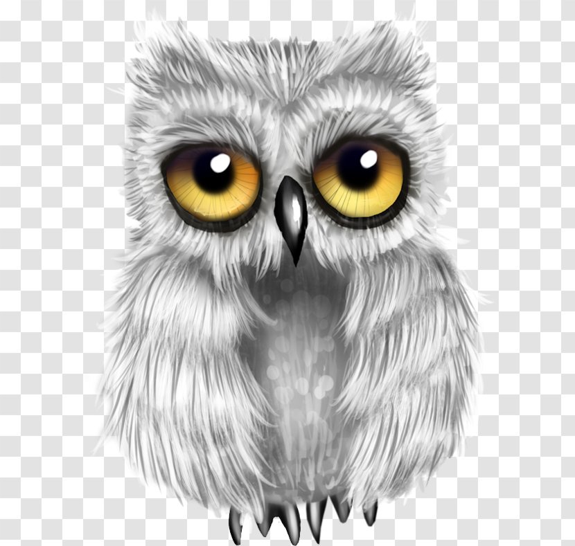 Alaska Raptor Center Great Grey Owl Bird Snowy - Eye - Painted Gray Transparent PNG