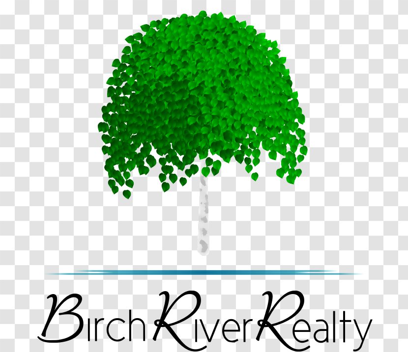 Birch River Realty Drive Achasta Tree Brand - Walindi Plantation Resort Transparent PNG