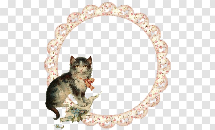 Whiskers Cat Kitten Mouse Transparent PNG