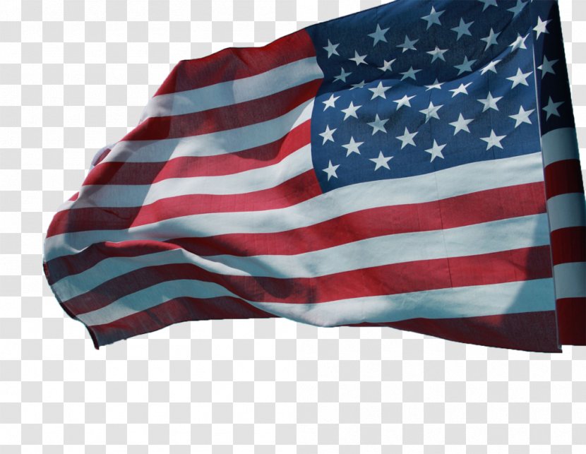 Flag Of The United States National - India - American Transparent PNG