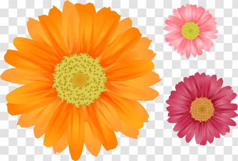Flower Common Daisy Clip Art - Flowering Plant - Gerbera Transparent PNG