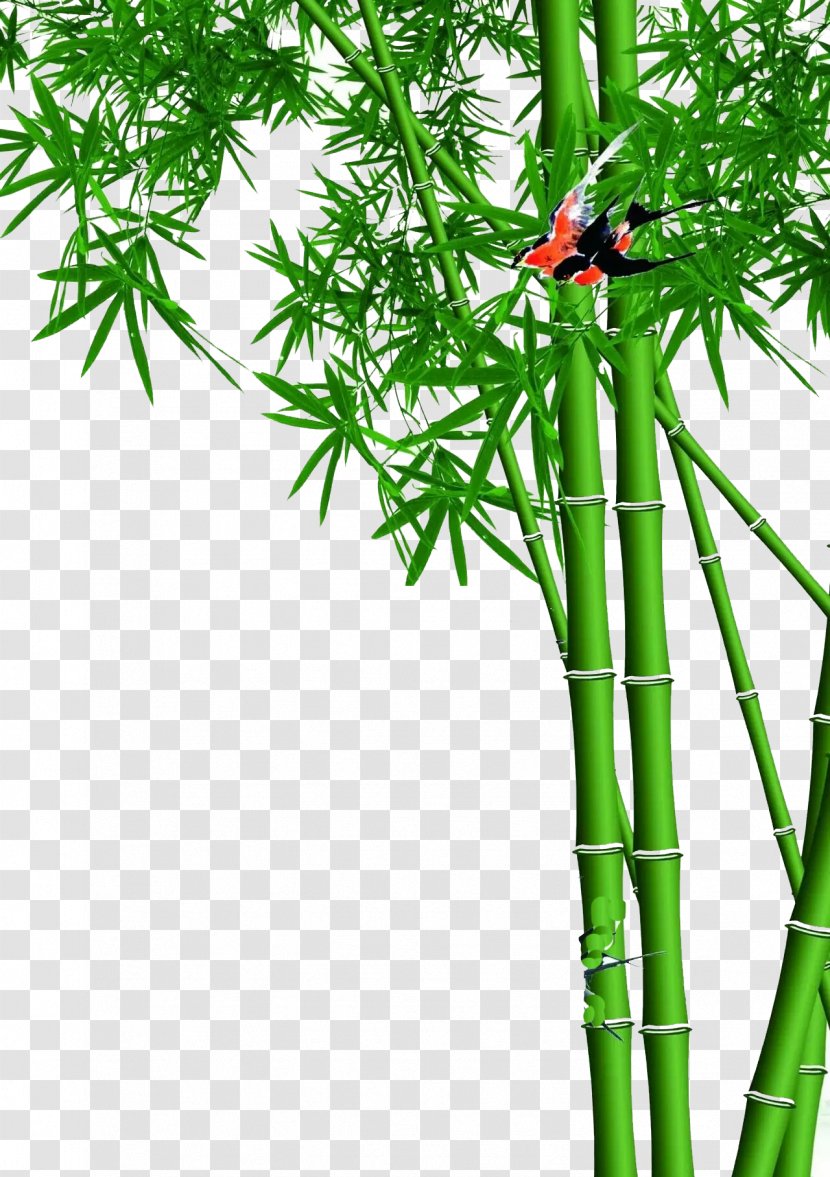 Lucky Bamboo Wall Wallpaper - Luck - Green Designs Transparent PNG