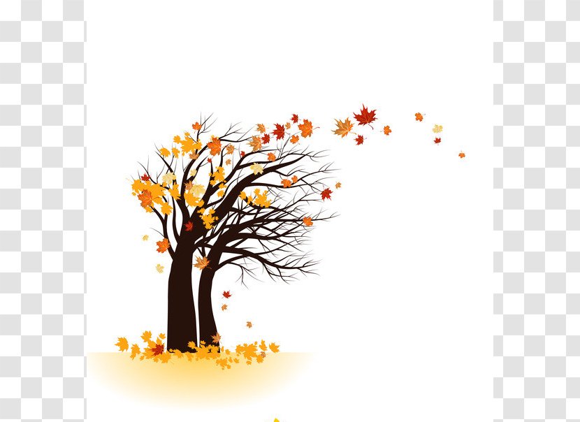 Tree Clip Art - Flower - Falling Feathers Transparent PNG