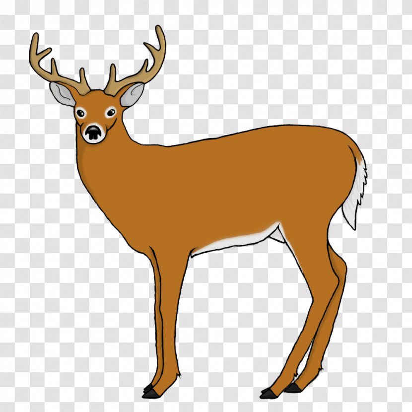 Clip Art Reindeer Image Illustration - Antelope - Whitetailed Deer Transparent PNG