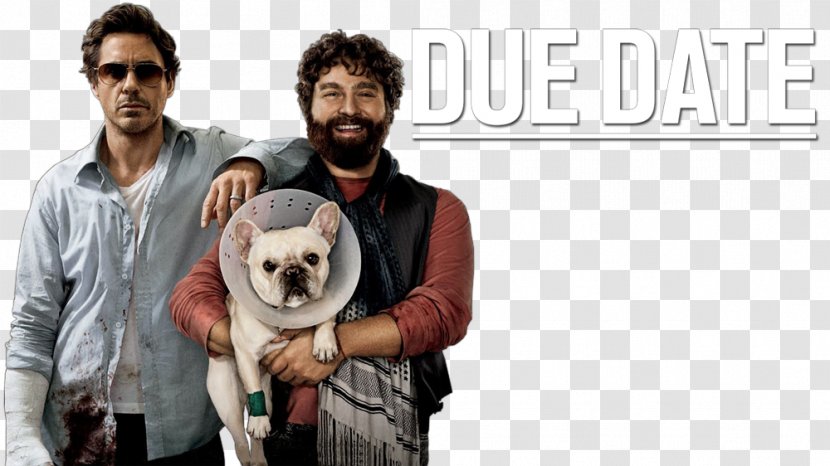 Peter Highman Ethan Chase Film Poster Comedy - Fur - Due Date Transparent PNG