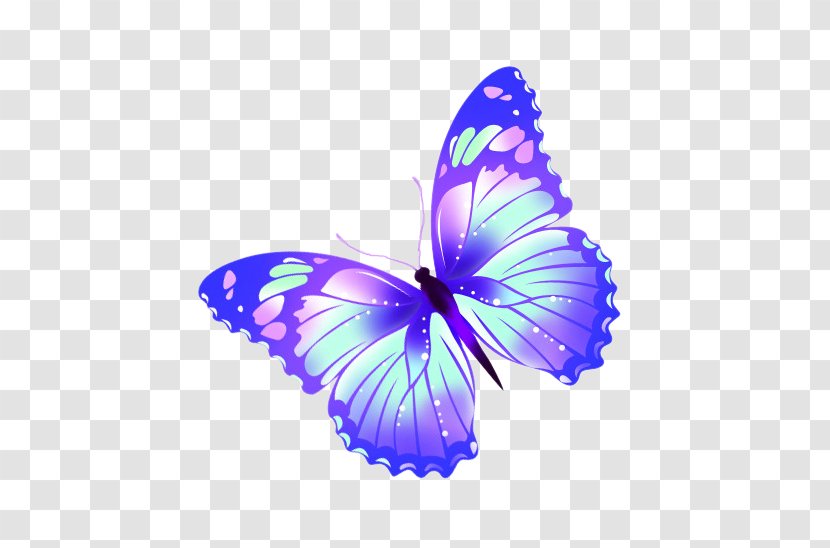 Butterfly - Symmetry - Magic Transparent PNG