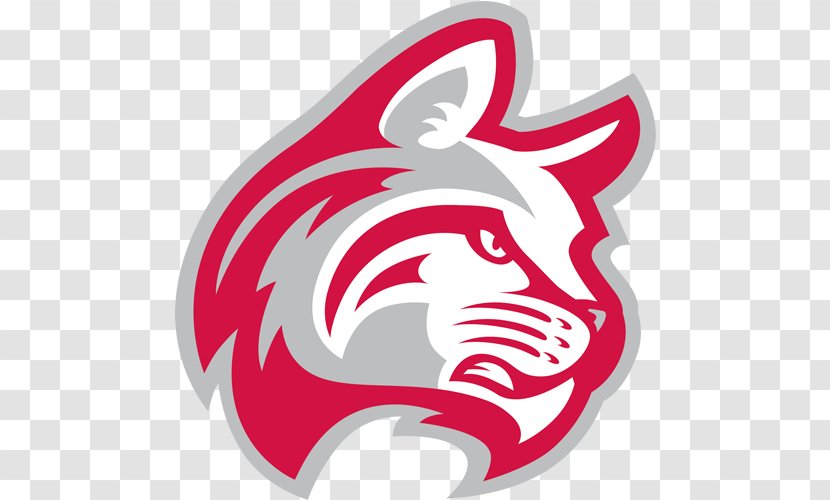 Indiana Wesleyan University Taylor State Wildcats Men's Basketball - Student Transparent PNG