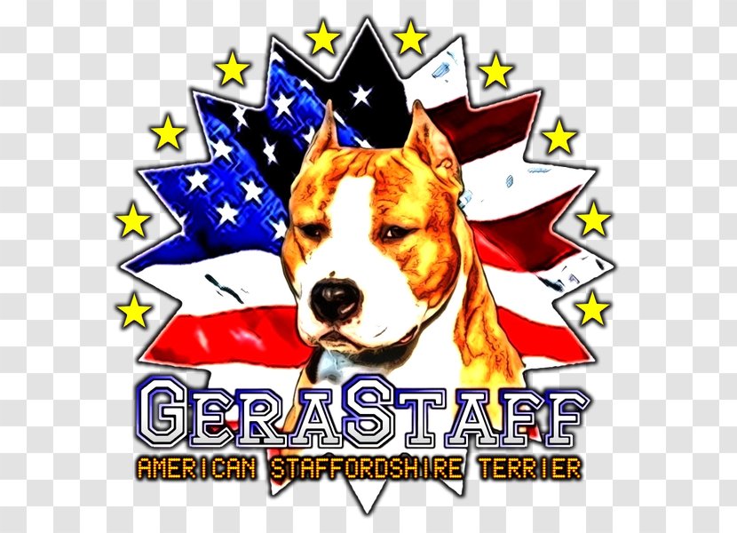 Dog Breed American Staffordshire Terrier Bull Bully Pit - Puppy Transparent PNG