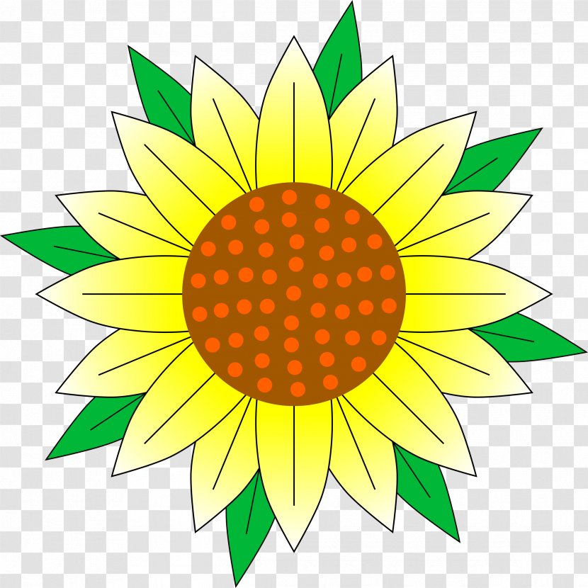 Flower Yellow Clip Art - Sunflower Seed - Leaf Transparent PNG