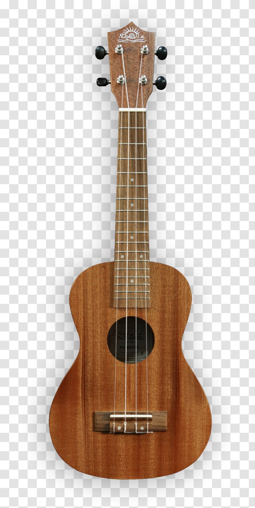 Steel-string Acoustic Guitar Acoustic-electric Cort Guitars - Flower Transparent PNG