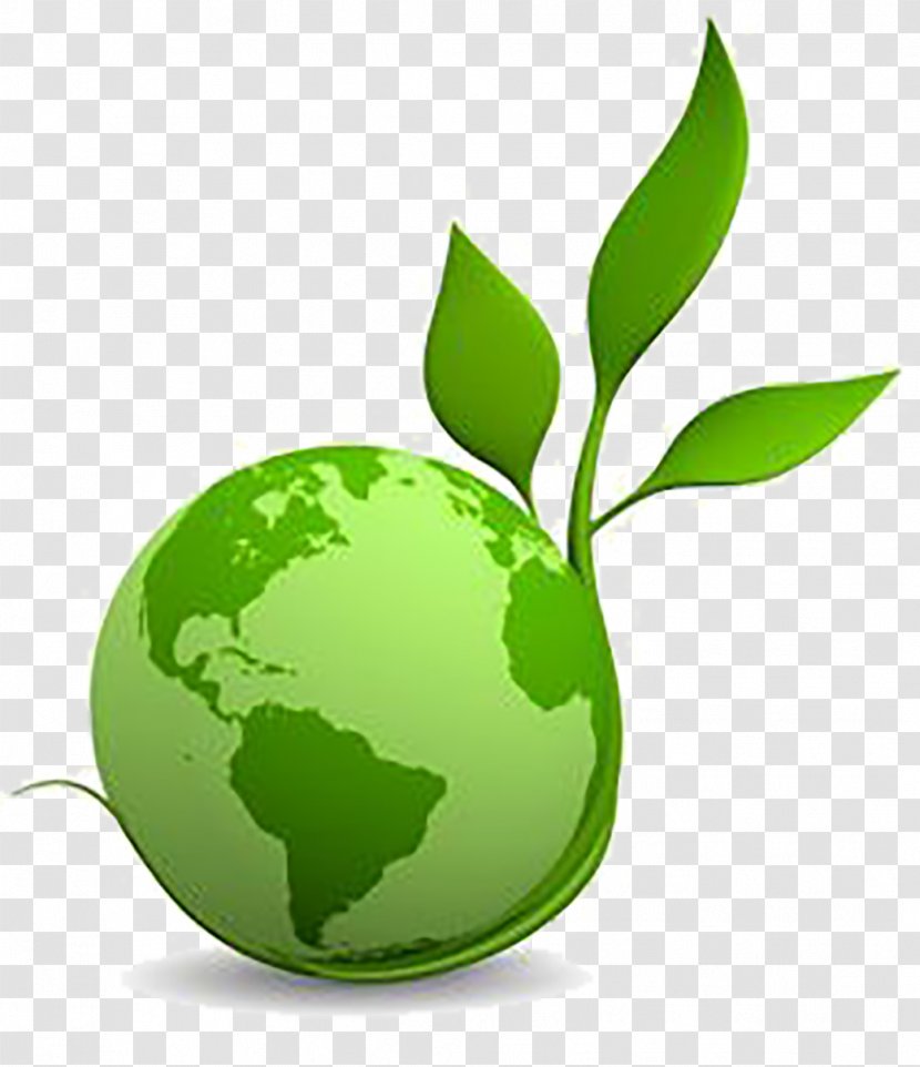 Natural Environment Sustainability Environmentally Friendly Green Building - Globe Transparent PNG