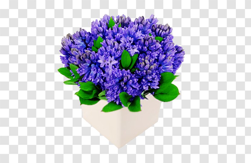 Hyacinth Flower Bouquet Wedding Cut Flowers - Flowering Plant Transparent PNG