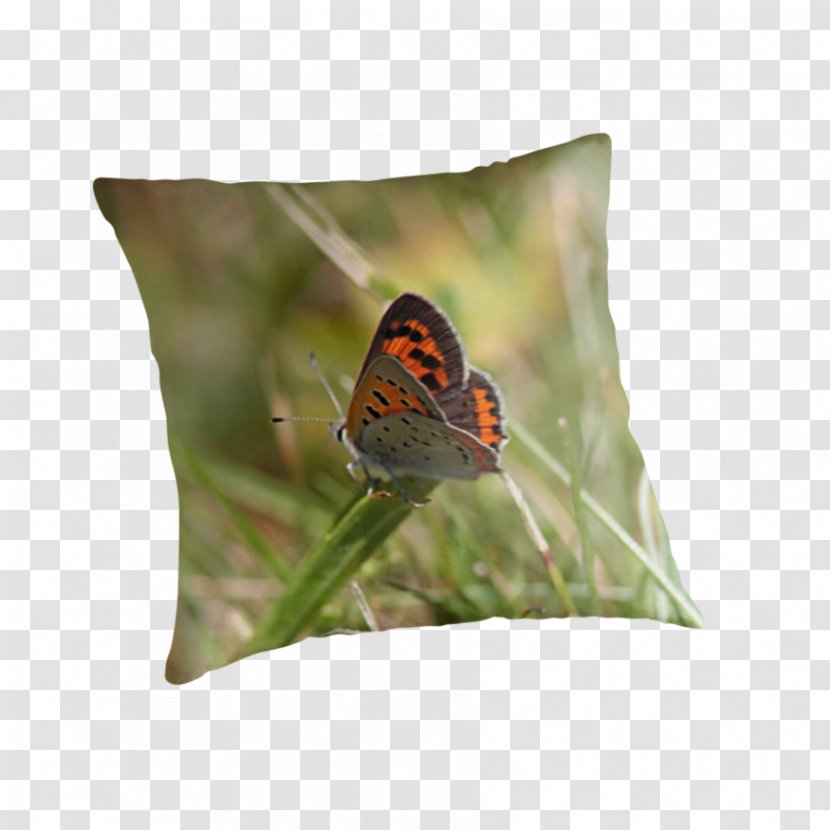 Butterfly Insect Pollinator Nymphalidae Cushion - Small Transparent PNG