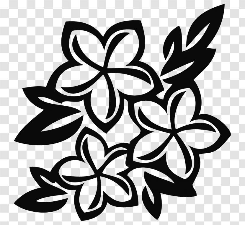 Leaf Black-and-white Plant Flower Petal - Pedicel Stencil Transparent PNG