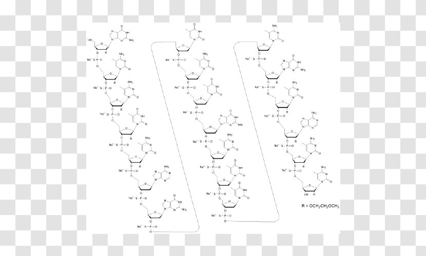 White Point Line Art Angle Non-proteinogenic Amino Acids - Proteinogenic Acid Transparent PNG