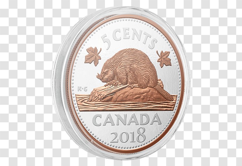 Coin Animal - Currency - Royal Canadian Mint Transparent PNG