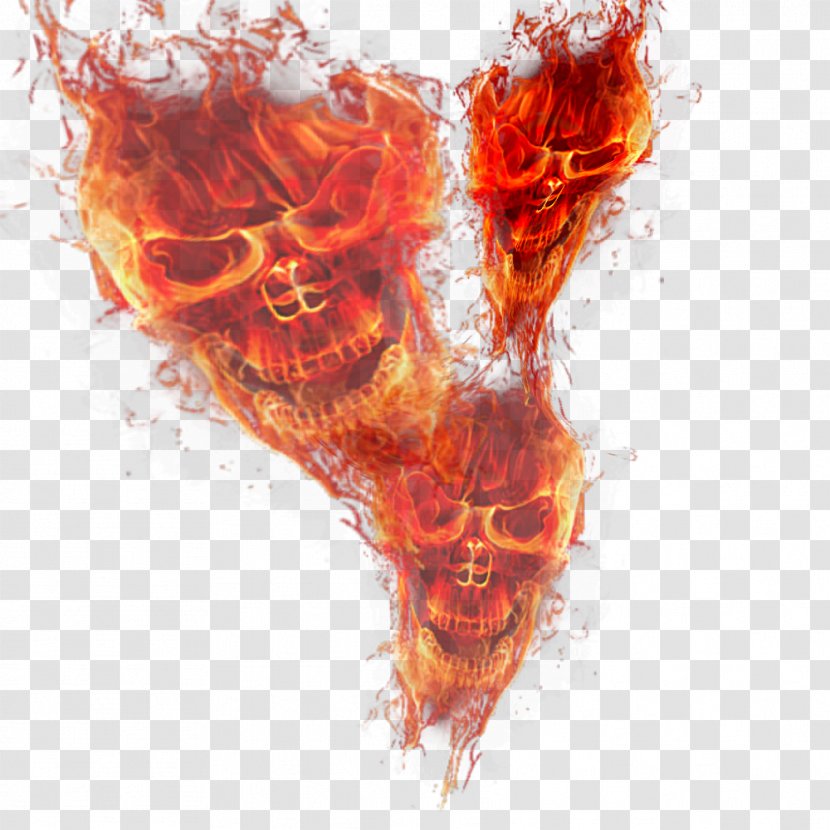 Light Fire Skull Flame - Heart Transparent PNG
