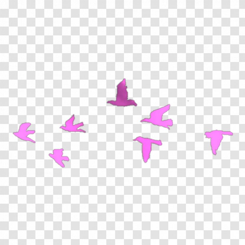Bird Flight Swallow Flock Tattoo Transparent PNG